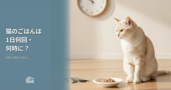 猫のごはんは1日何回・何時に?回数と時間の決め方