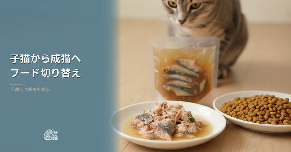 子猫から成猫へのフード切り替え|1歳の根拠を辿る