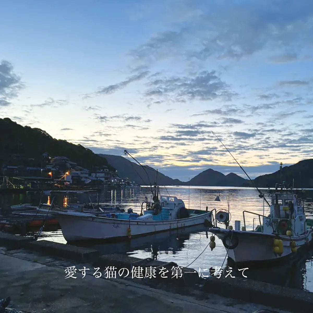 《初回限定おためし980円》切り身&小魚パック