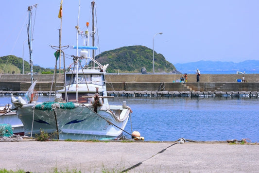 NICO-LSが熊野灘の魚を選ぶ理由。産地と漁師が守る“海の恵み”