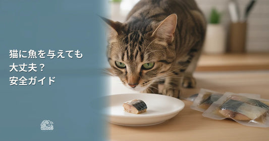 猫に魚をあげても大丈夫？注意点とおすすめの与え方
