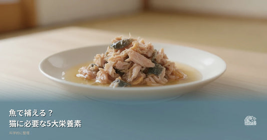 猫に必要な栄養素、本当に魚で補えるの？