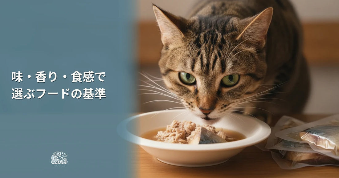 猫が喜ぶフードを選ぶ3つの基準（味・香り・質感）