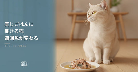 同じごはんに飽きる猫｜毎回魚が変わるという答え