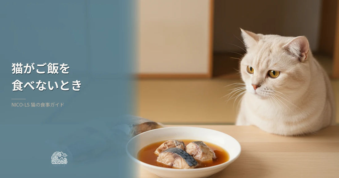 猫が急にご飯を食べなくなったときに考えたい、ウェットフードの選び方