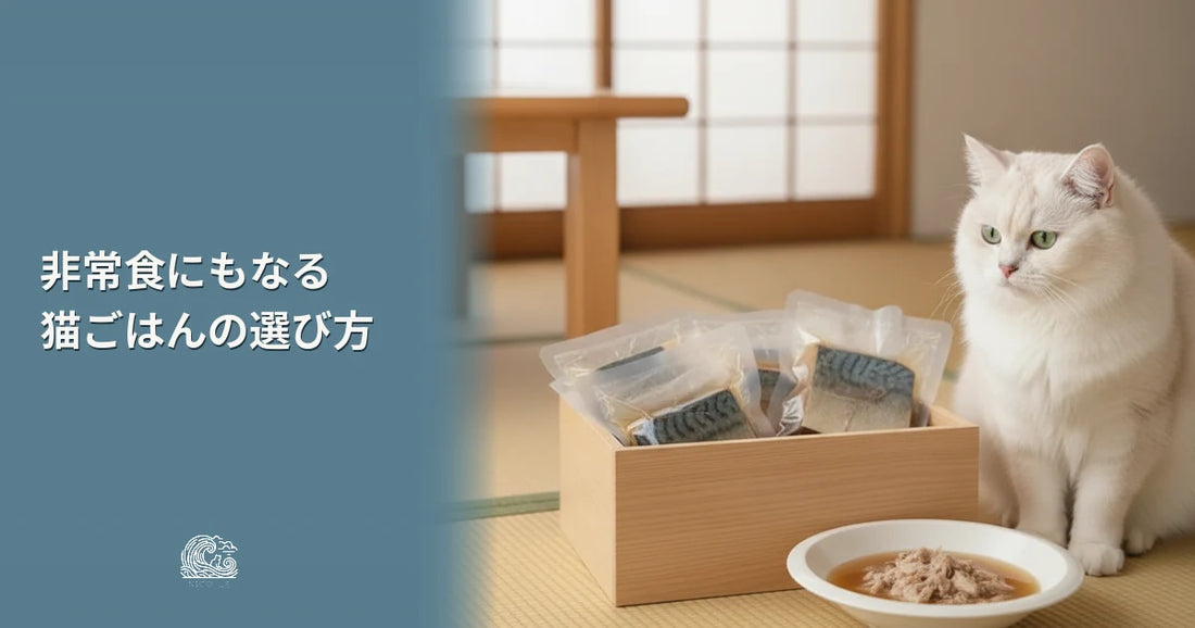 非常食にもなる猫ごはん？長期保存フードの新常識