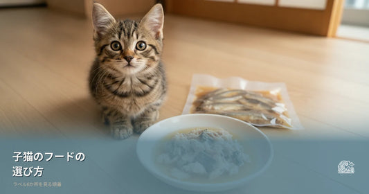 子猫のキャットフードの選び方｜ラベル6か所の順番