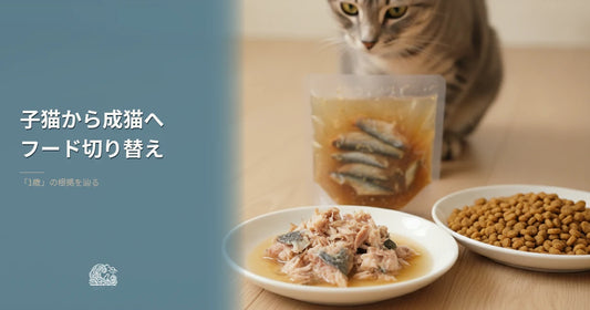 子猫から成猫へのフード切り替え｜1歳の根拠を辿る