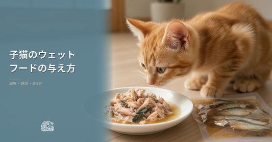 子猫のウェットフードの与え方｜温度と衛生