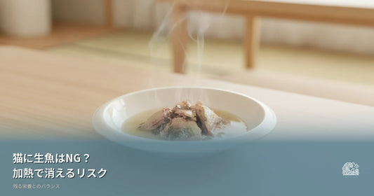 猫に生魚はNG？加熱で消えるリスクと残る栄養