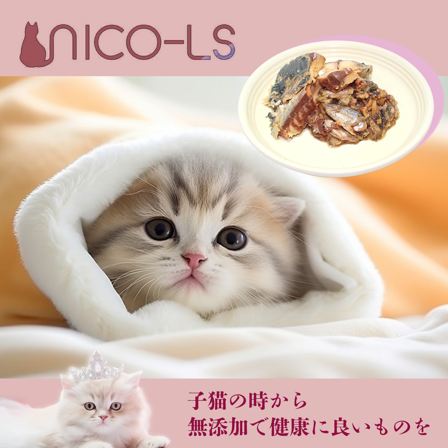 NICO-LSのごはん【65-80g パック】季節のお魚切り身＆小魚(レトルト常温）２種類セット （S）