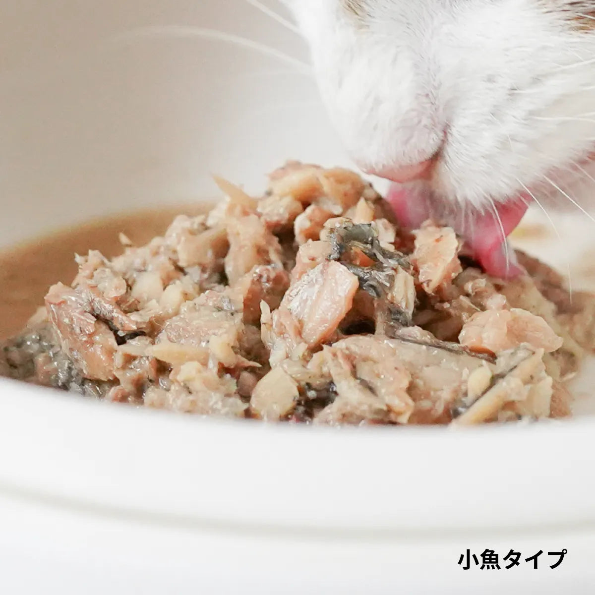 小魚タイプをアップで撮影した美味しそうな写真