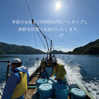 《初回限定おためし980円》切り身＆小魚パック