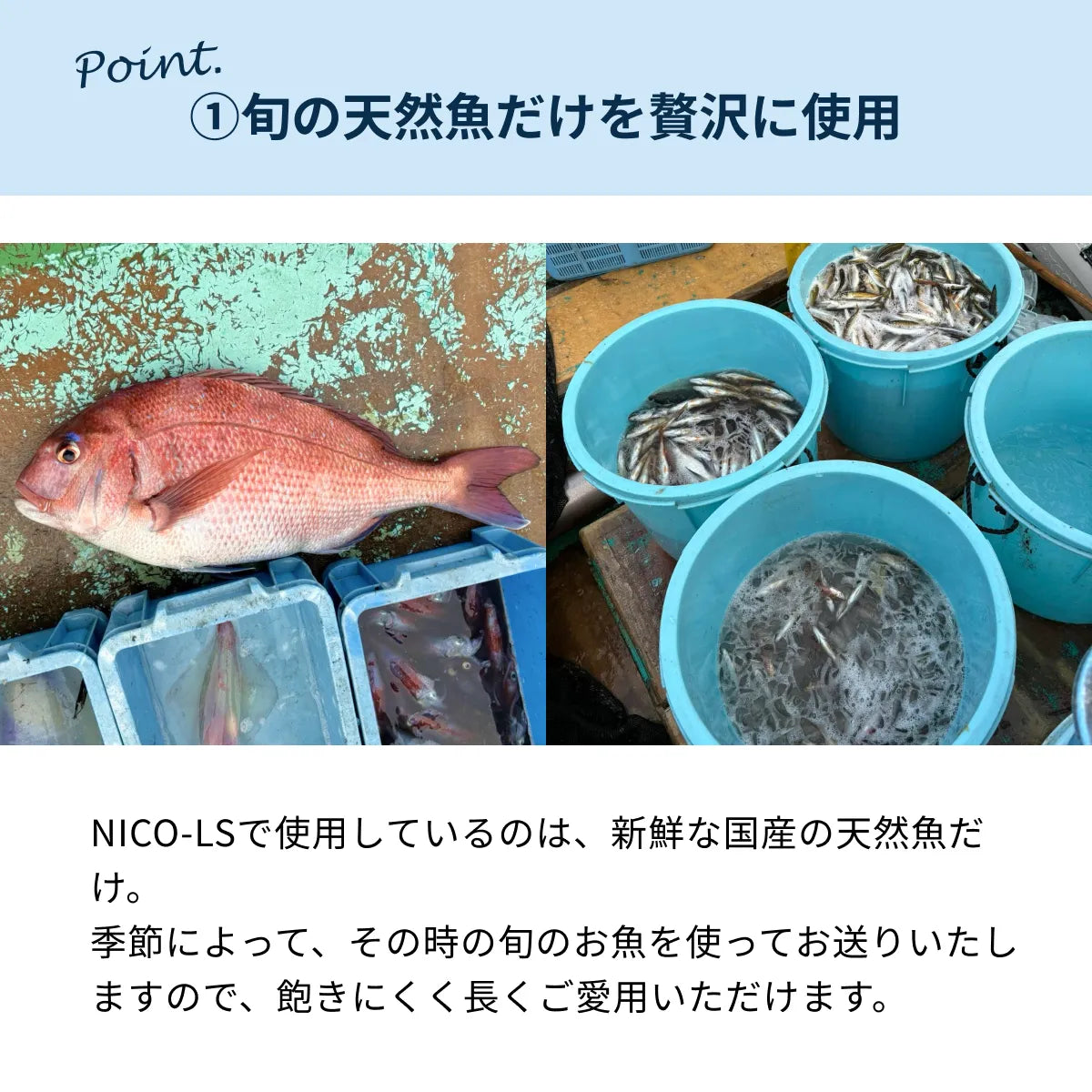 《初回限定おためし980円》切り身＆小魚パック